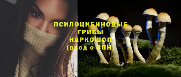 ешки Вязники