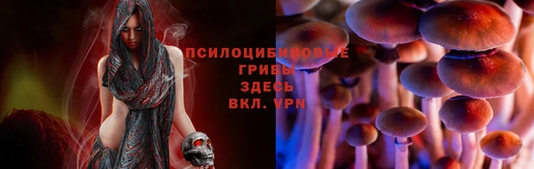 ешки Вязники