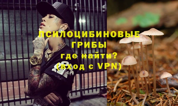 MESCALINE Вяземский